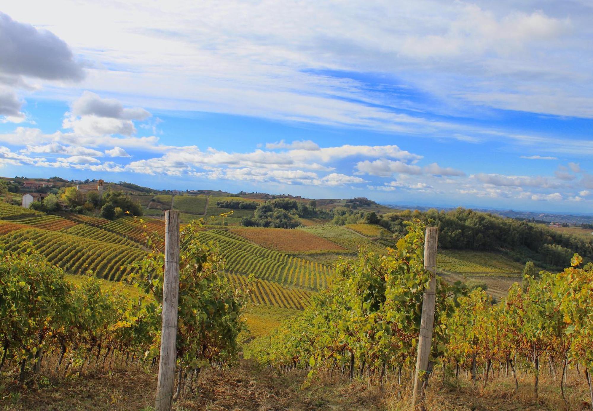 Amazing Langhe And Monferrato | House With Garden Villa Calamandrana Bagian luar foto